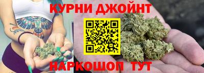 ECSTASY Новозыбков