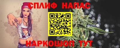 ECSTASY Новозыбков