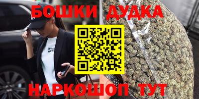 ECSTASY Новозыбков