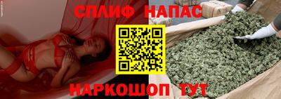 амф Новодвинск