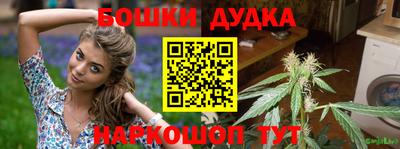 ECSTASY Новозыбков