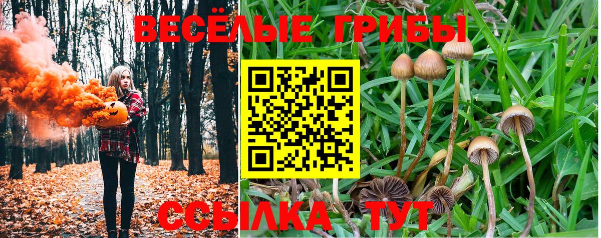 Псилоцибиновые грибы GOLDEN TEACHER Липецк